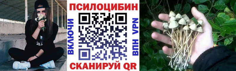Псилоцибиновые грибы Magic Shrooms  где можно купить   Собинка 